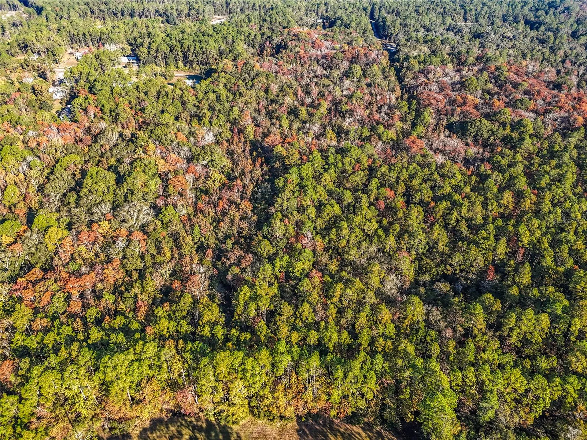 SW 6th Terrace Palatka FL 32177
