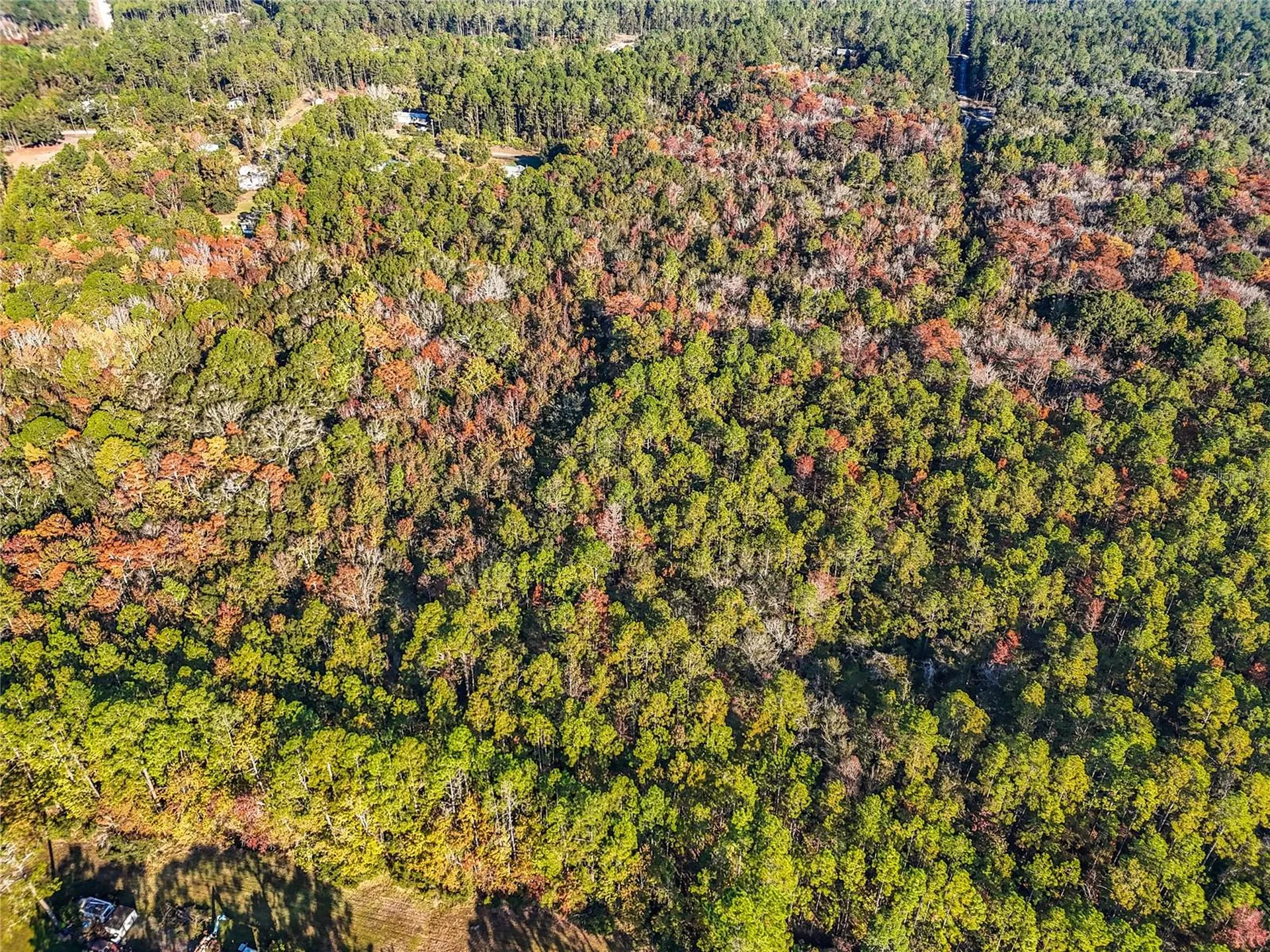 SW 6th Terrace Palatka FL 32177