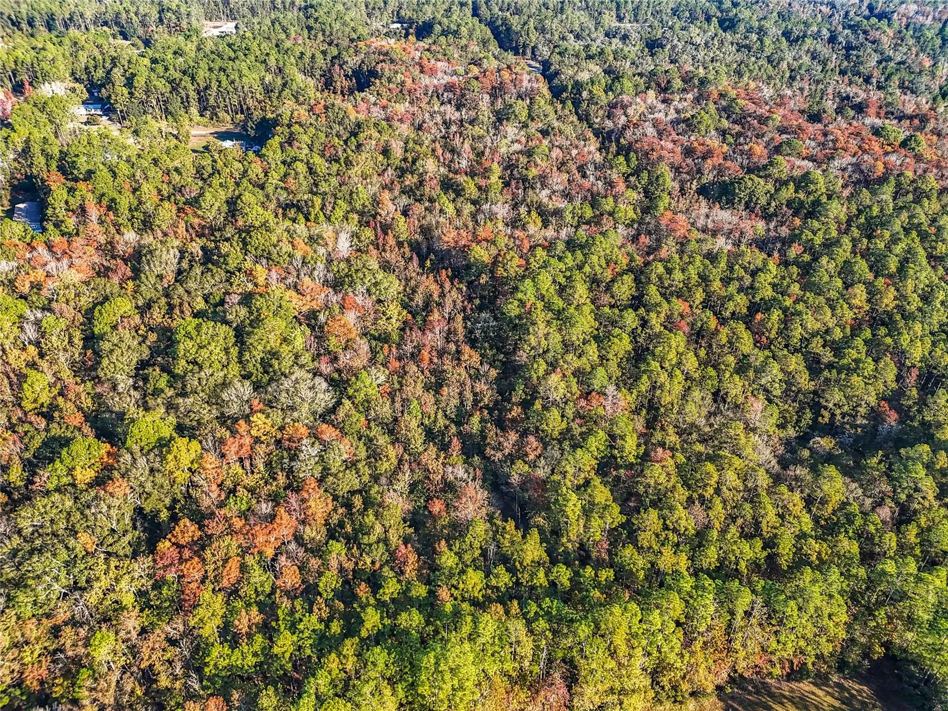 SW 6th Terrace Palatka FL 32177