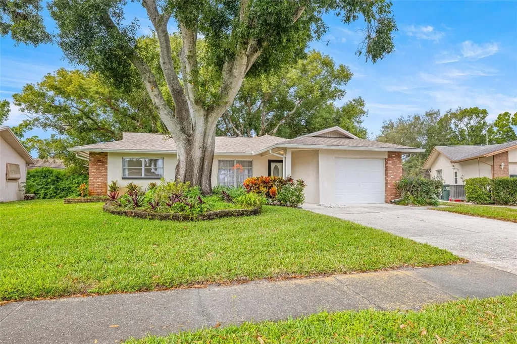 142 Stafford Circle Palm Harbor FL 34684