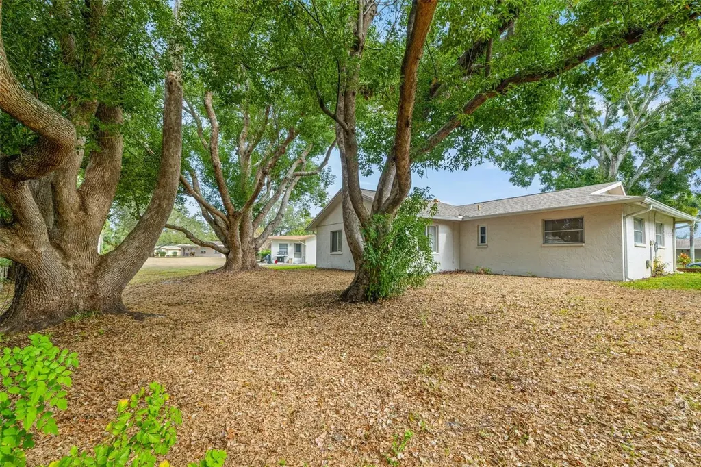 142 Stafford Circle Palm Harbor FL 34684