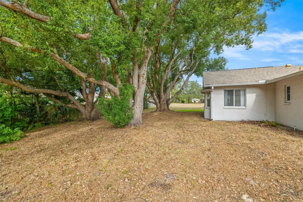 142 Stafford Circle Palm Harbor FL 34684