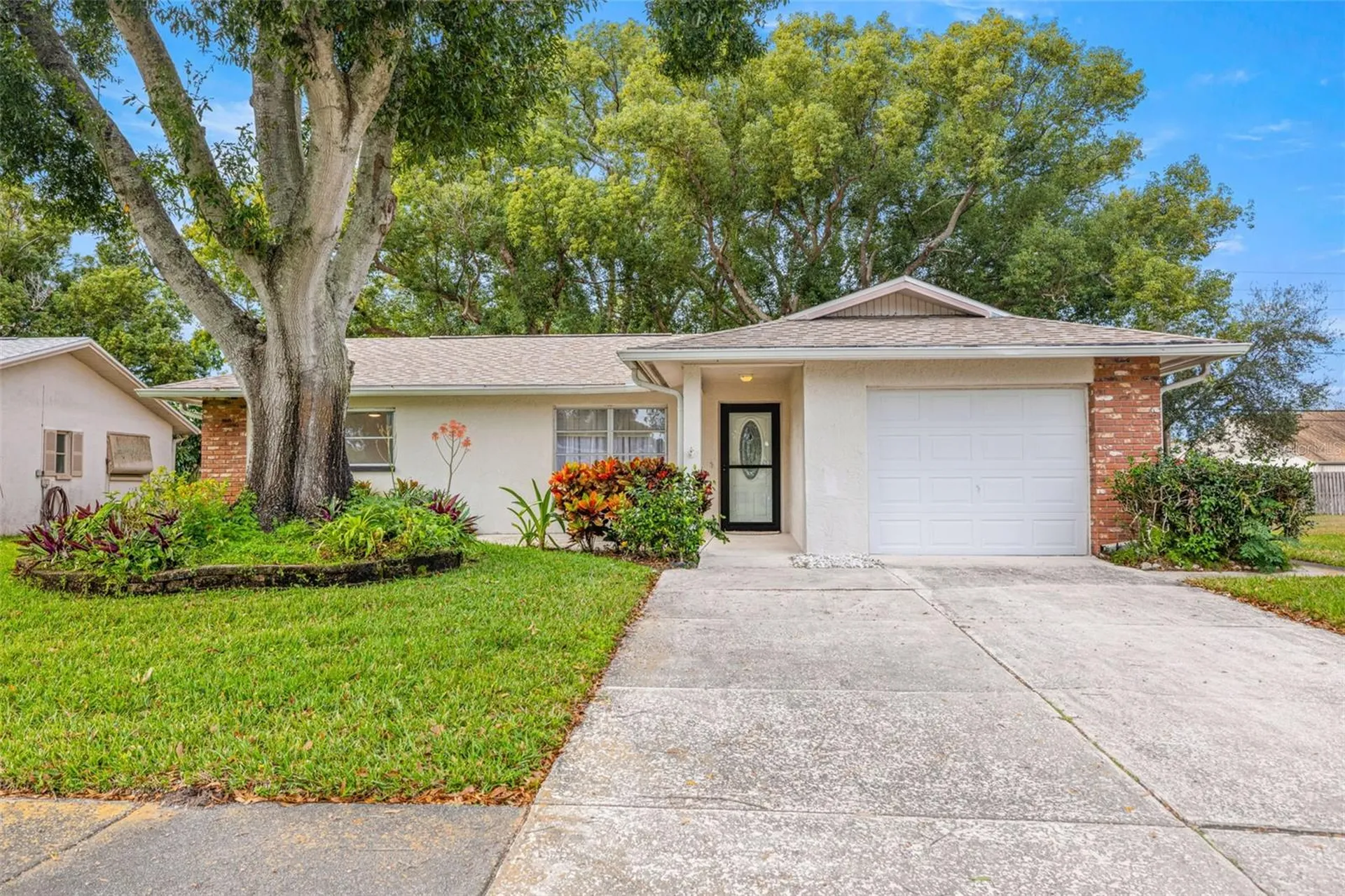 142 Stafford Circle Palm Harbor FL 34684
