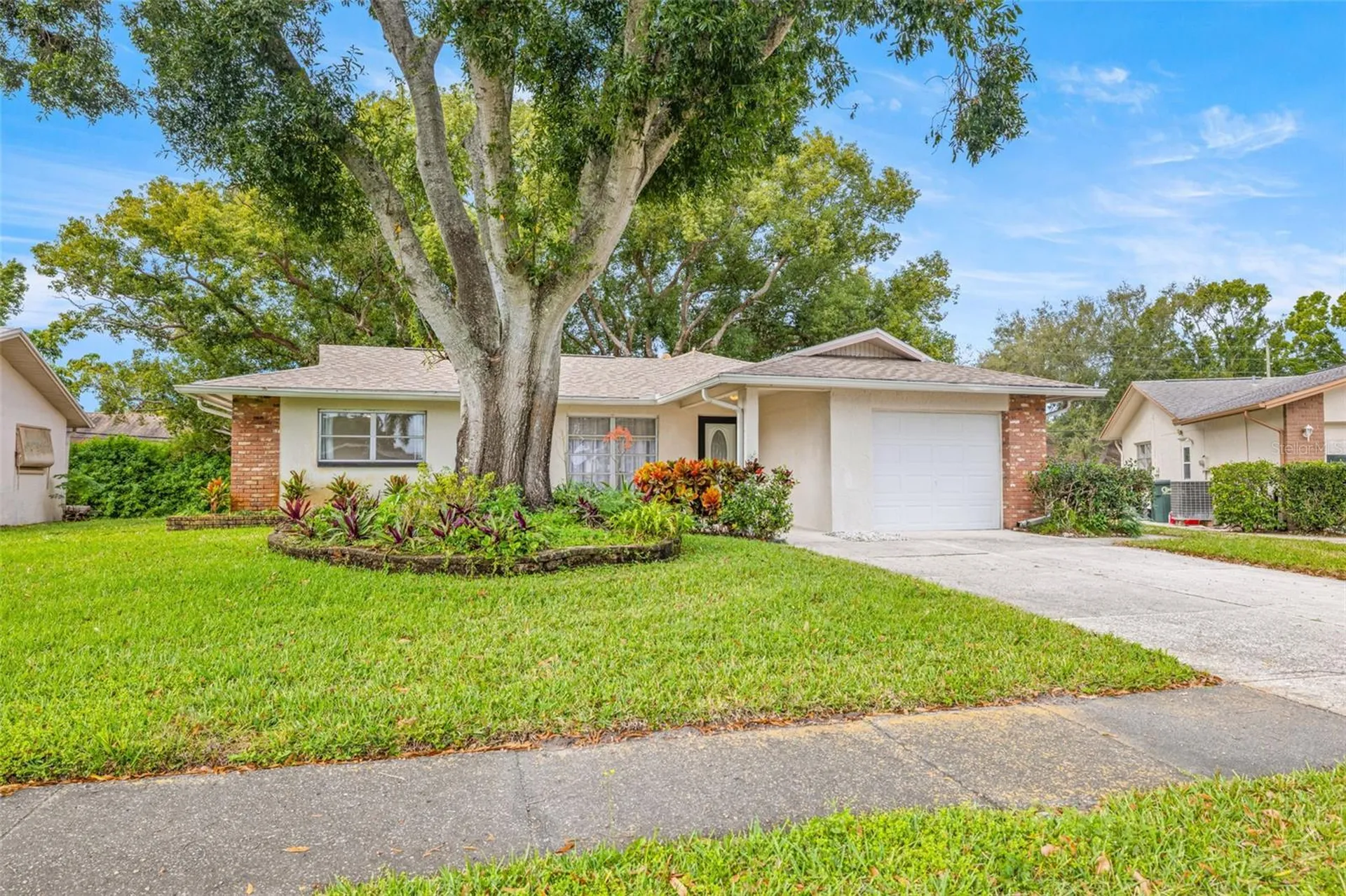 142 Stafford Circle Palm Harbor FL 34684