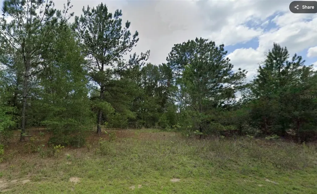 576 E Abady Lane Dunnellon FL 34434