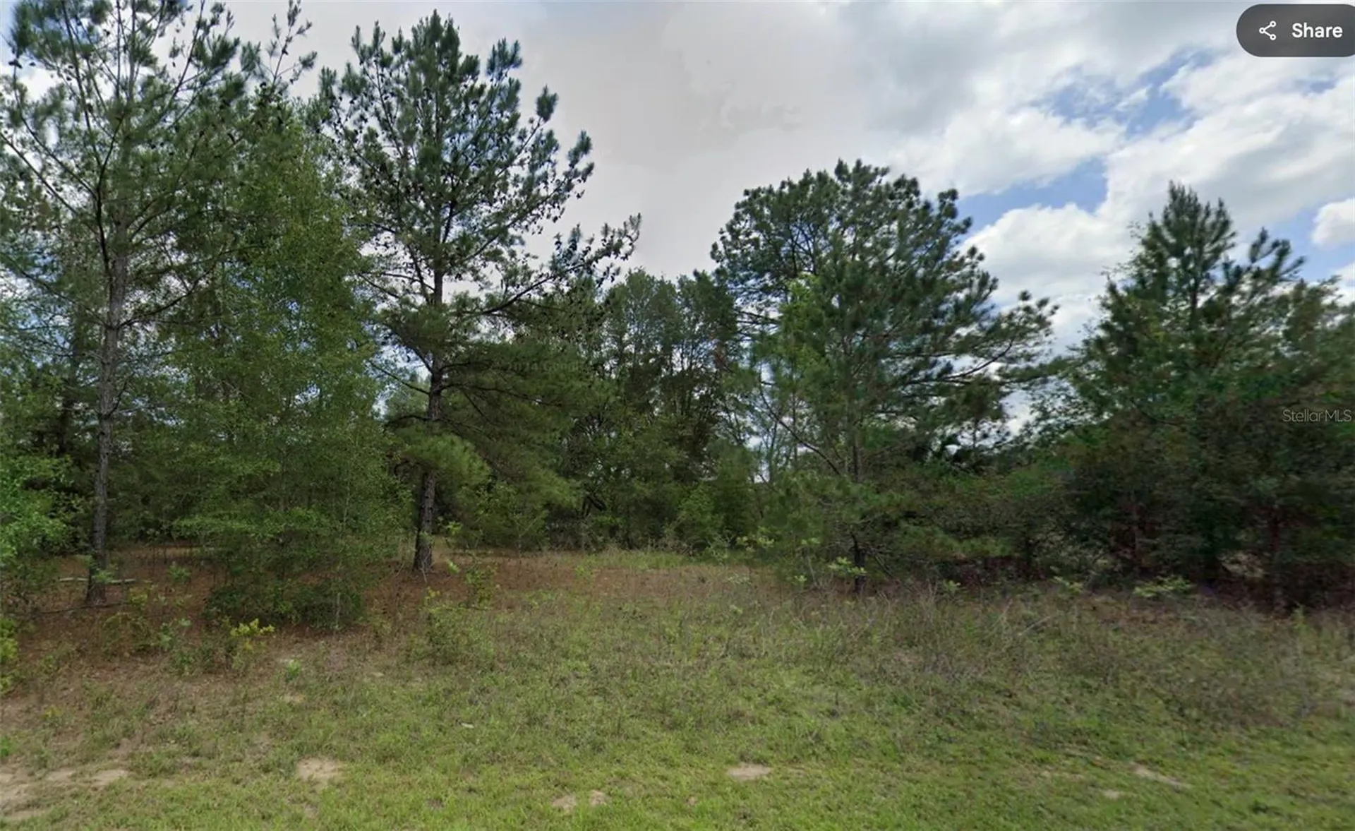 576 E Abady Lane Dunnellon FL 34434
