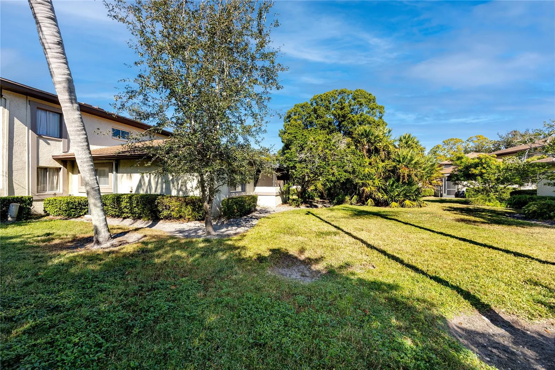 2909 Lichen Lane Clearwater FL 33760