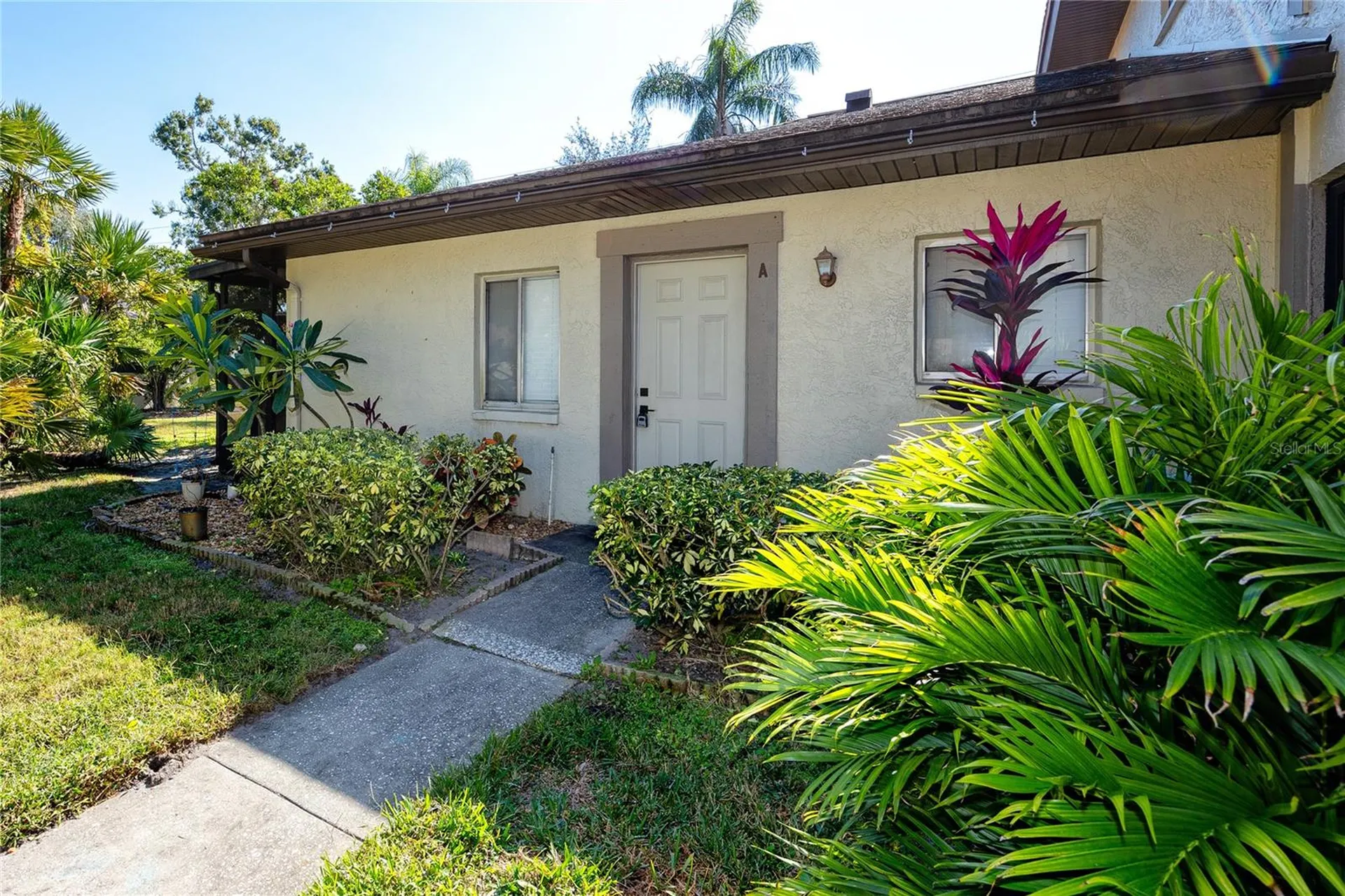 2909 Lichen Lane Clearwater FL 33760