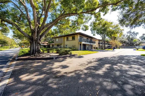 2909 Lichen Lane Clearwater FL 33760