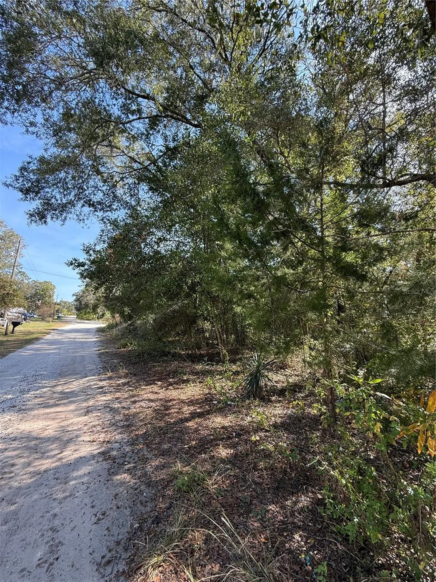 00 SW 2nd Place Ocala FL 34474
