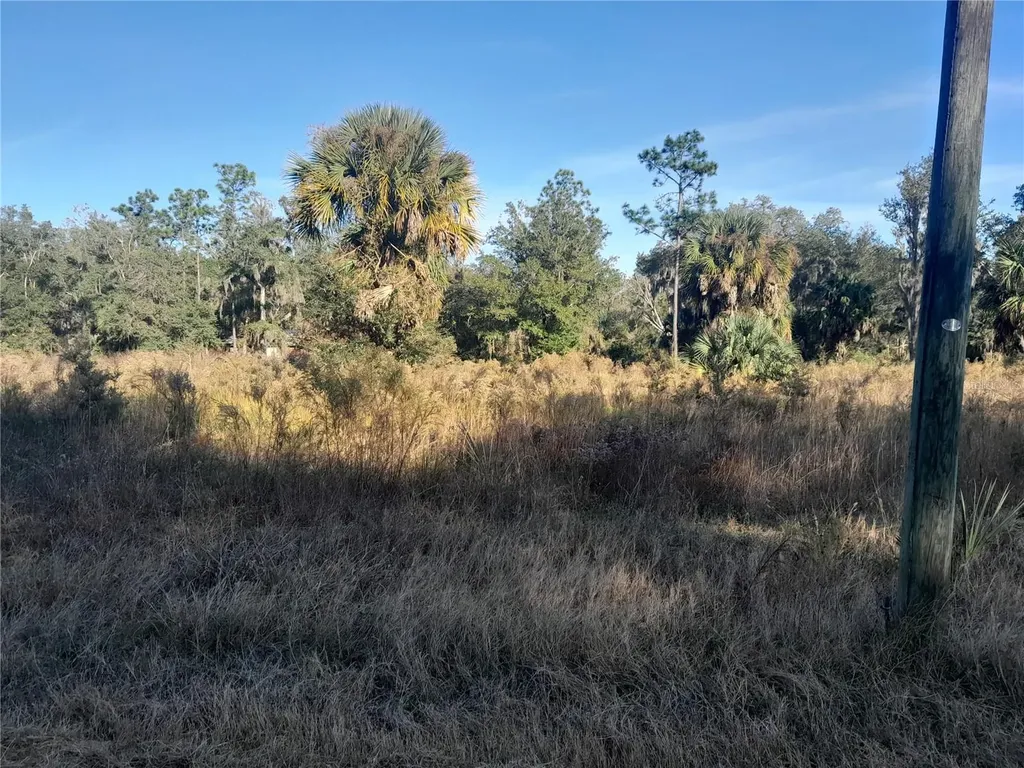 Tbd SE 110th Avenue Inglis FL 34449
