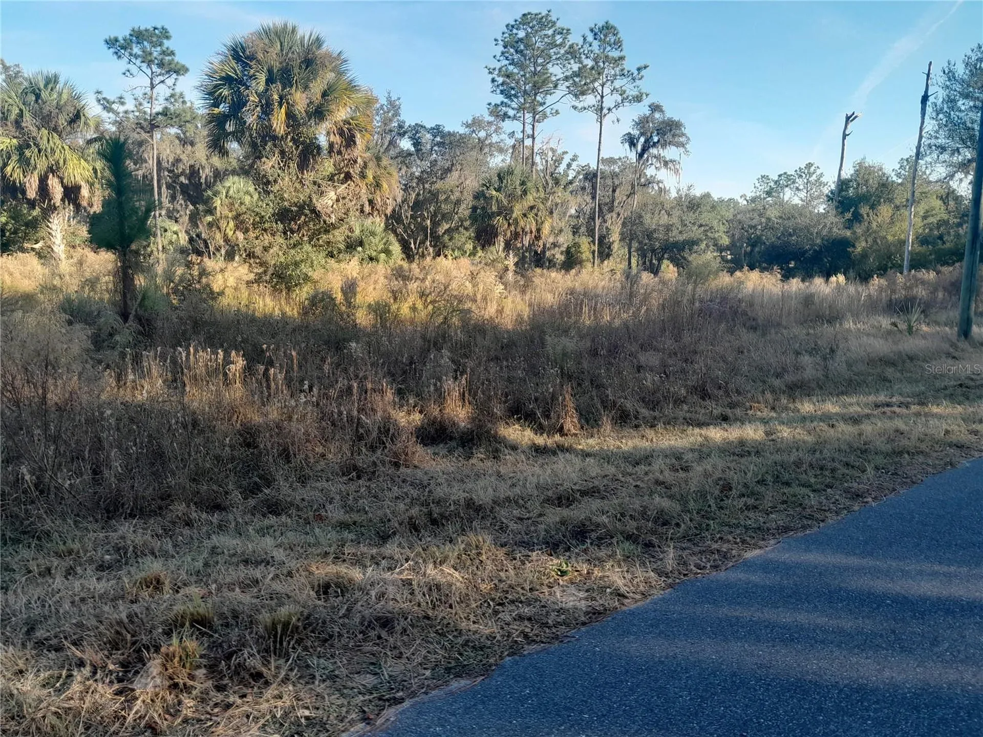 Tbd SE 110th Avenue Inglis FL 34449