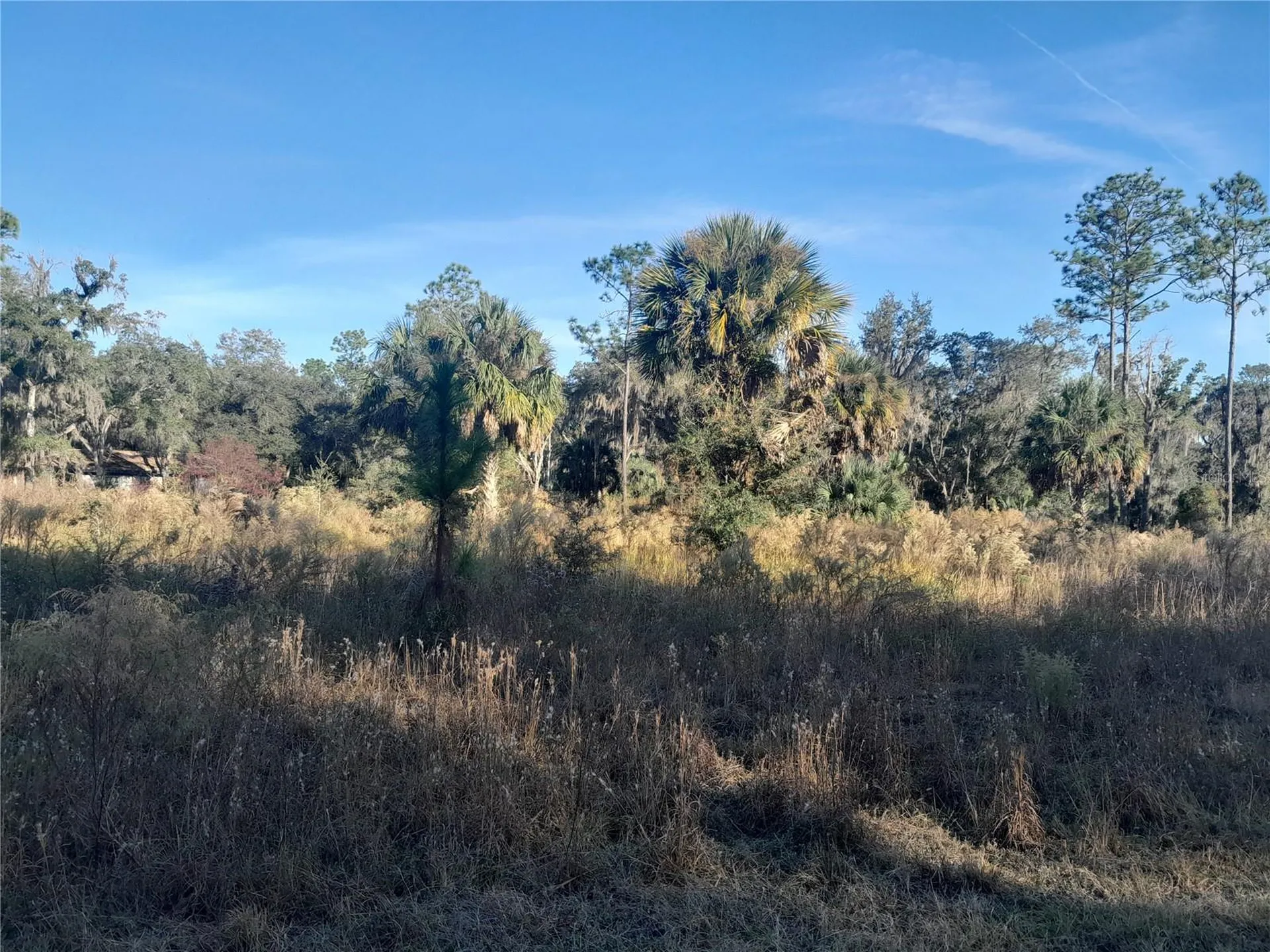Tbd SE 110th Avenue Inglis FL 34449