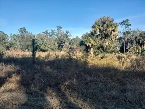 Tbd SE 110th Avenue Inglis FL 34449