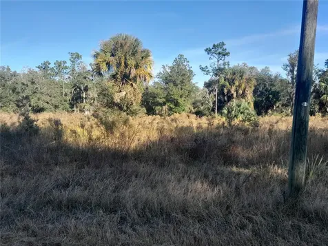 Tbd SE 110th Avenue Inglis FL 34449