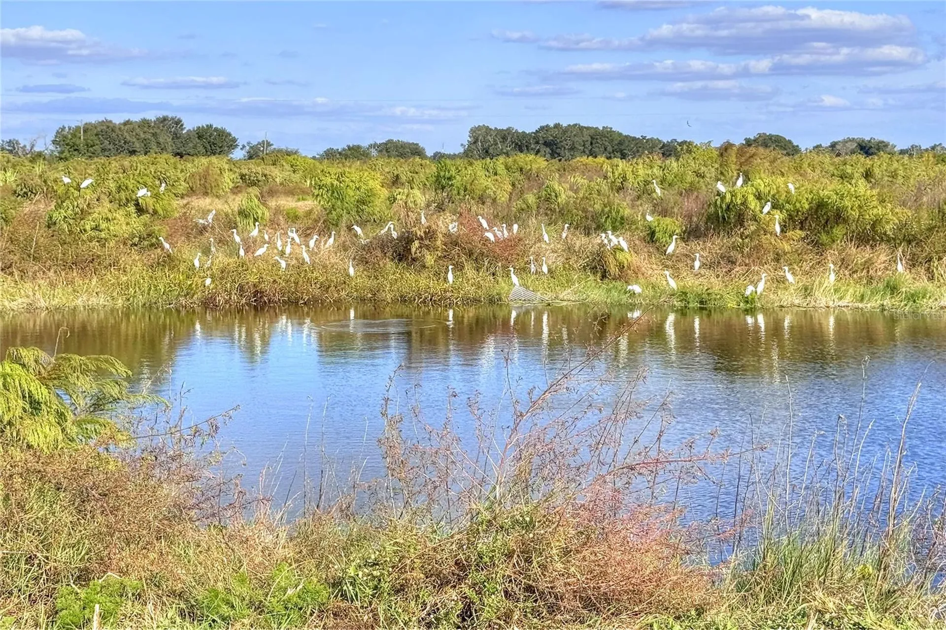 6018 NW County Road 661a Arcadia FL 34266