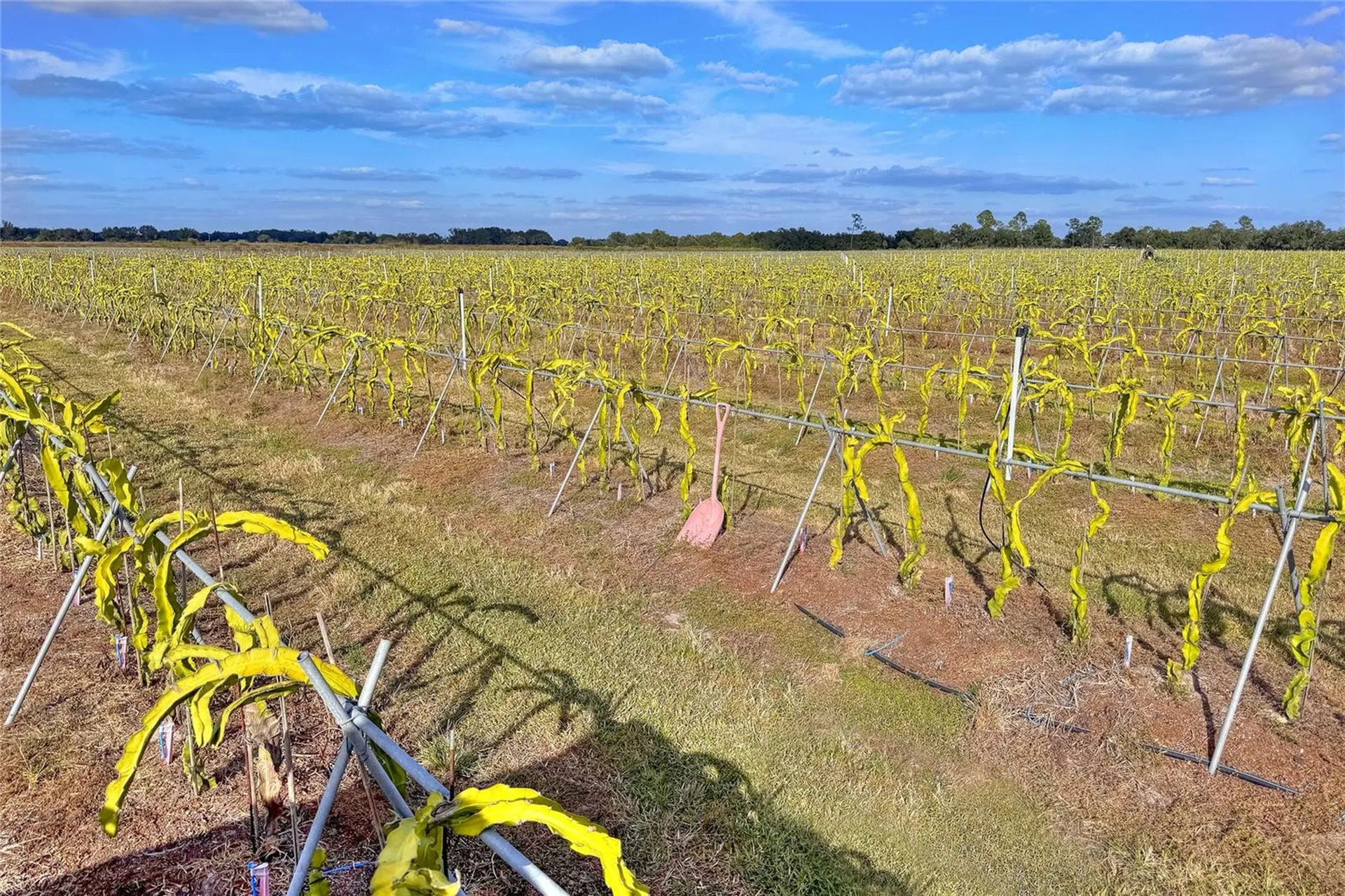 6018 NW County Road 661a Arcadia FL 34266