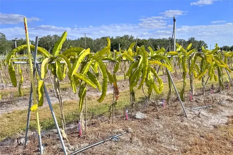 6018 NW County Road 661a Arcadia FL 34266