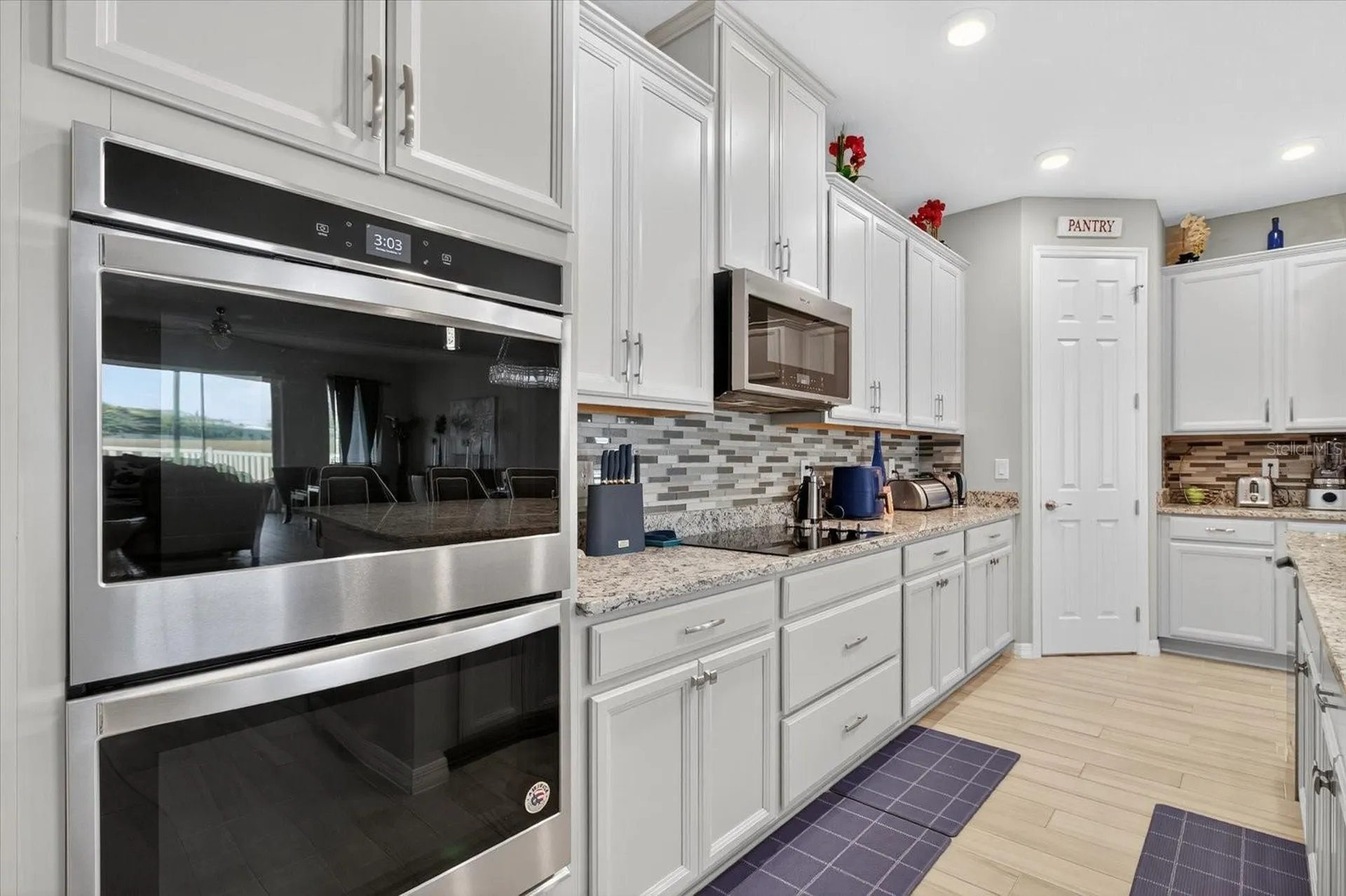 11823 Tetrafin Drive Riverview FL 33579