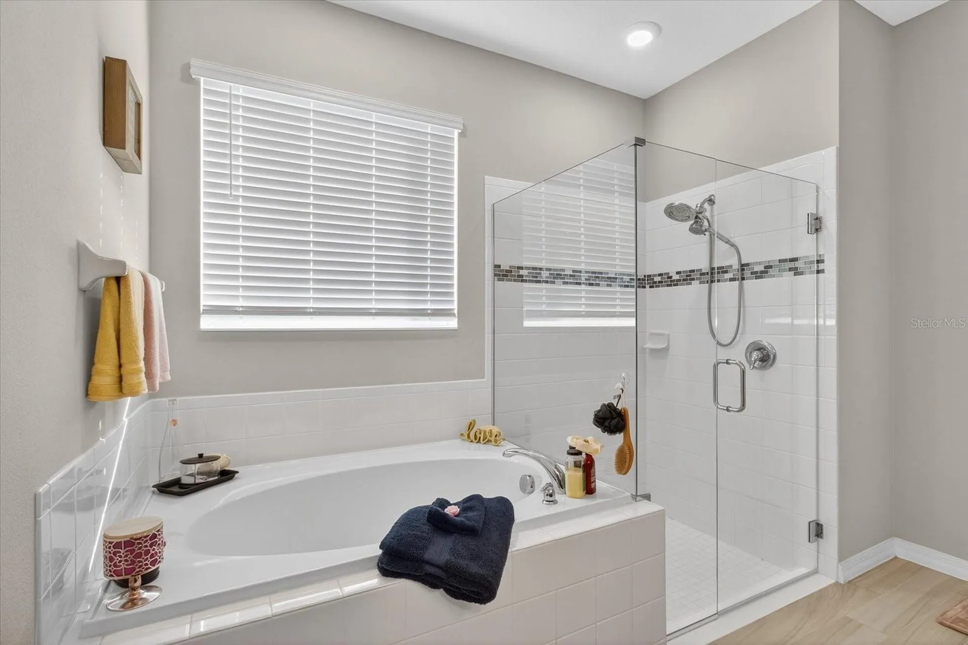11823 Tetrafin Drive Riverview FL 33579