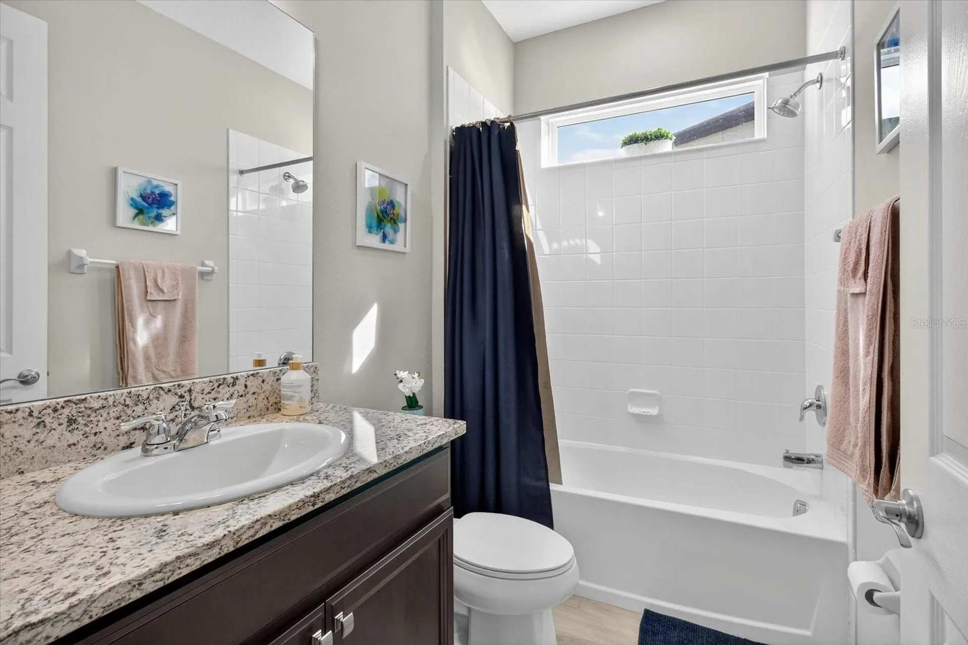 11823 Tetrafin Drive Riverview FL 33579