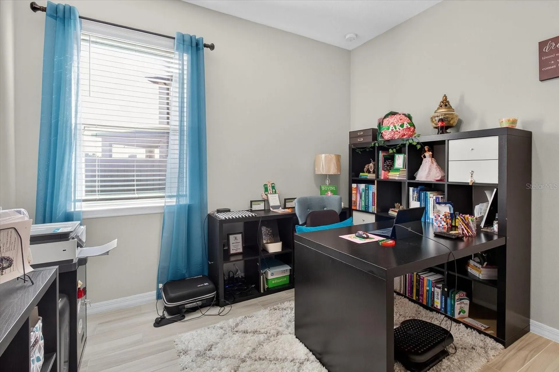 11823 Tetrafin Drive Riverview FL 33579