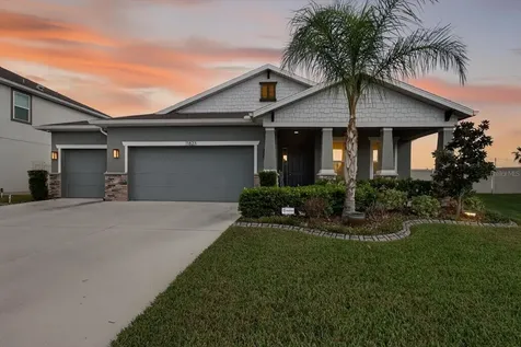11823 Tetrafin Drive Riverview FL 33579