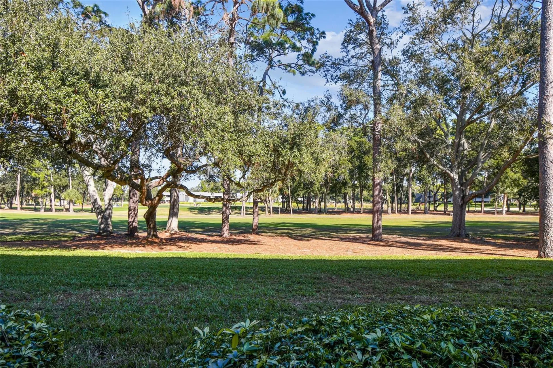 36750 Us Highway 19 N Palm Harbor FL 34684