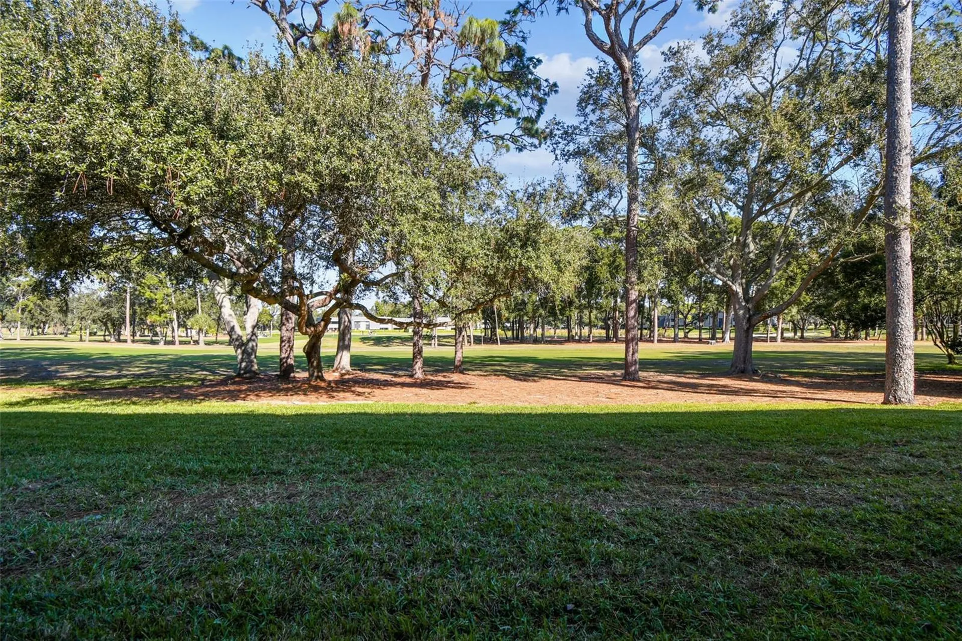 36750 Us Highway 19 N Palm Harbor FL 34684