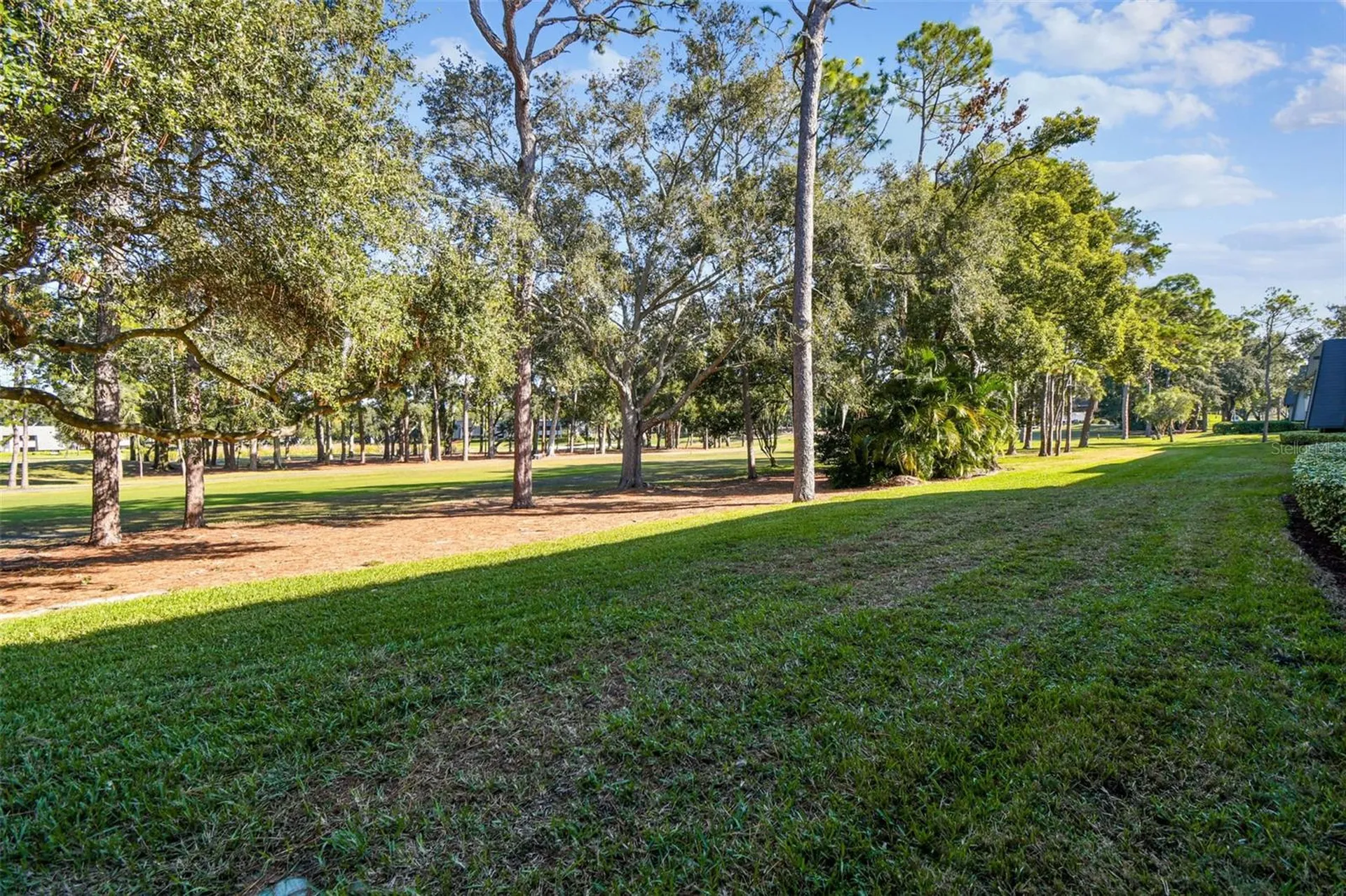 36750 Us Highway 19 N Palm Harbor FL 34684