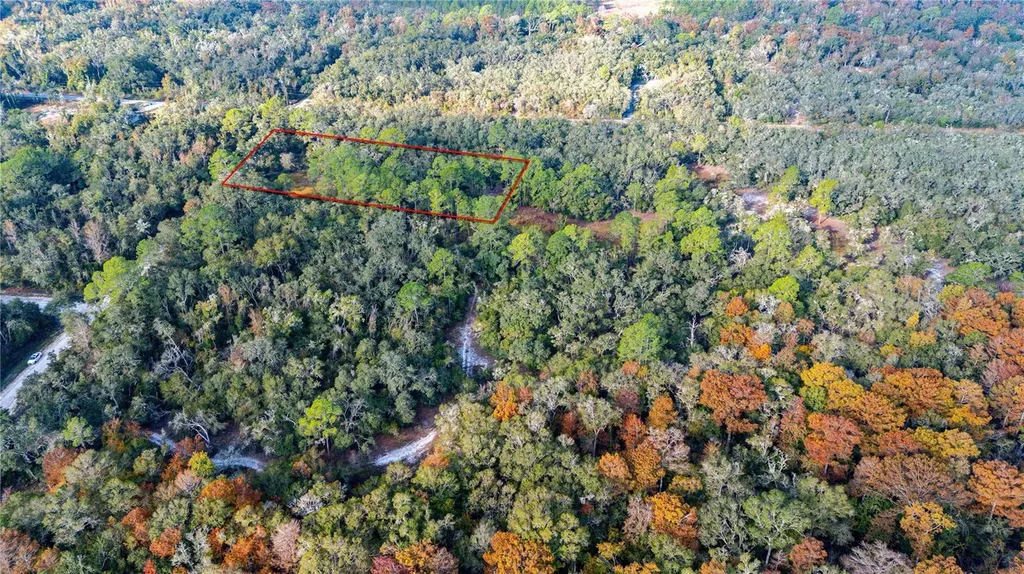 0 Rose Bloom Lot 7 Avenue Webster FL 33597