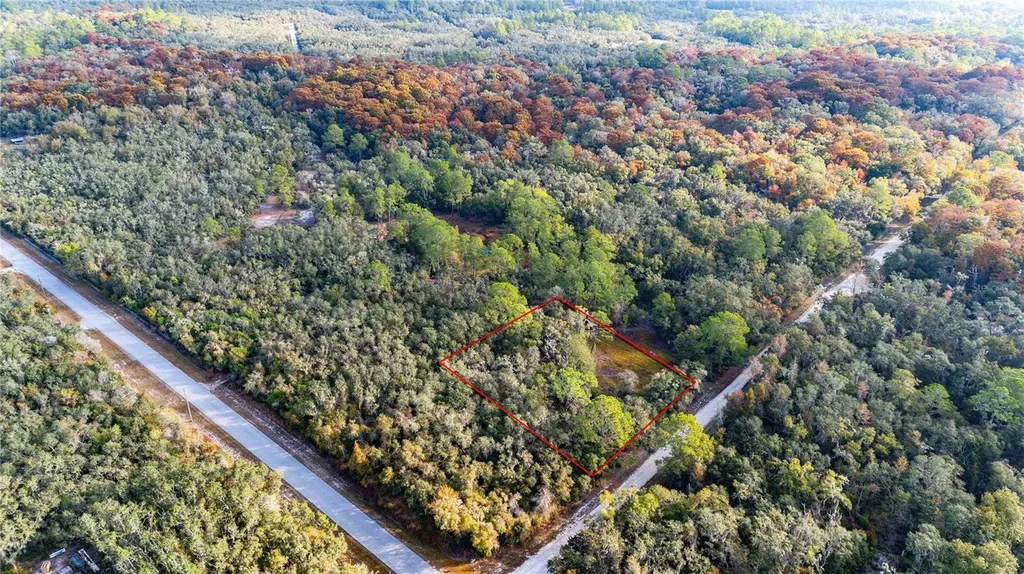0 Rose Bloom Lot 7 Avenue Webster FL 33597