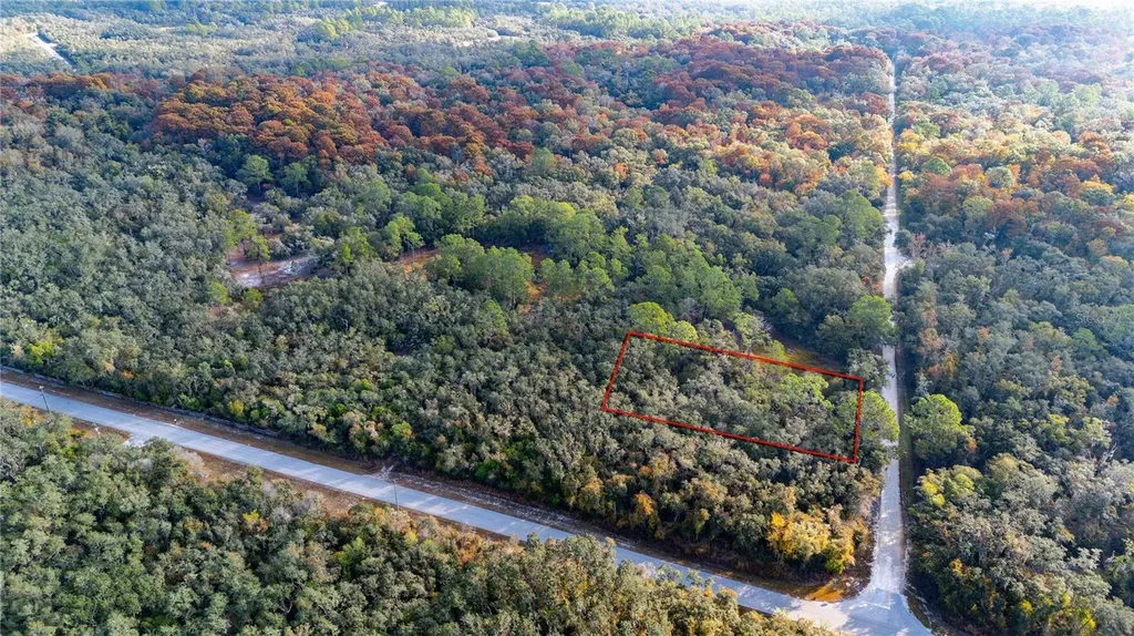 0 Rose Bloom Lot 7 Avenue Webster FL 33597