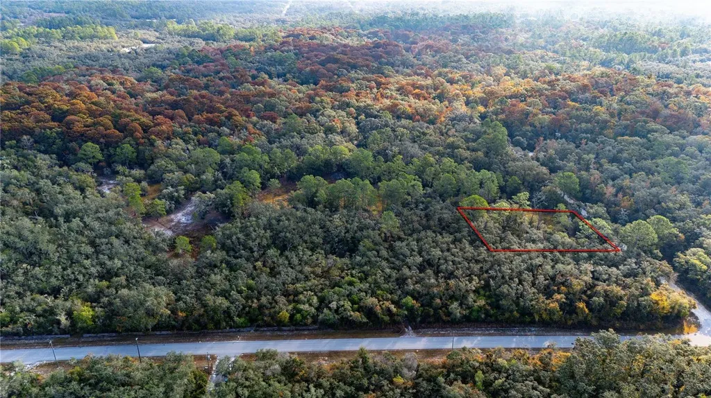 0 Rose Bloom Lot 7 Avenue Webster FL 33597