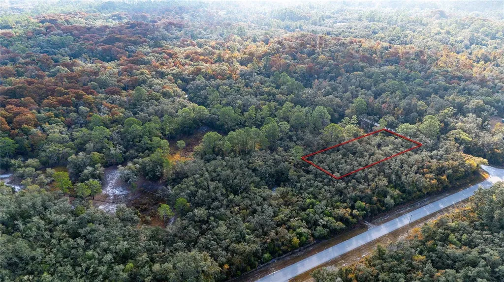 0 Rose Bloom Lot 7 Avenue Webster FL 33597