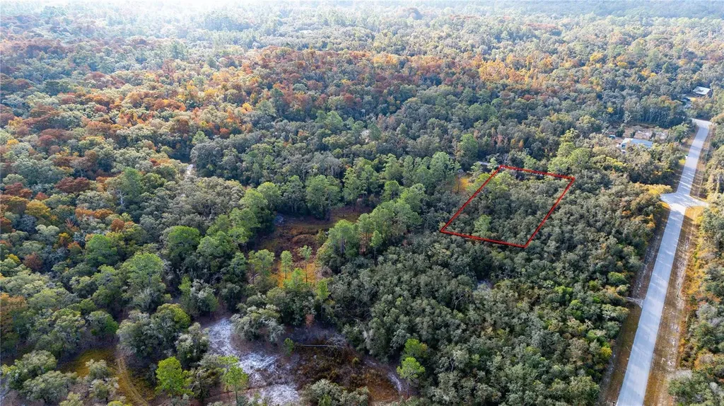 0 Rose Bloom Lot 7 Avenue Webster FL 33597
