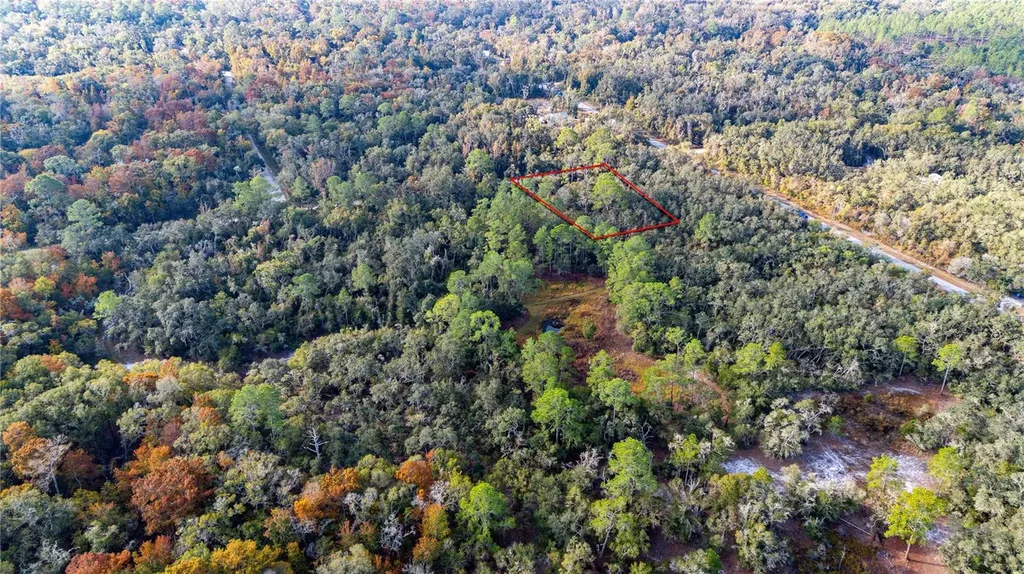 0 Rose Bloom Lot 7 Avenue Webster FL 33597