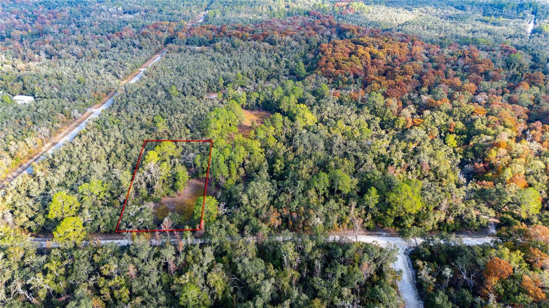 0 Rose Bloom Lot 7 Avenue Webster FL 33597