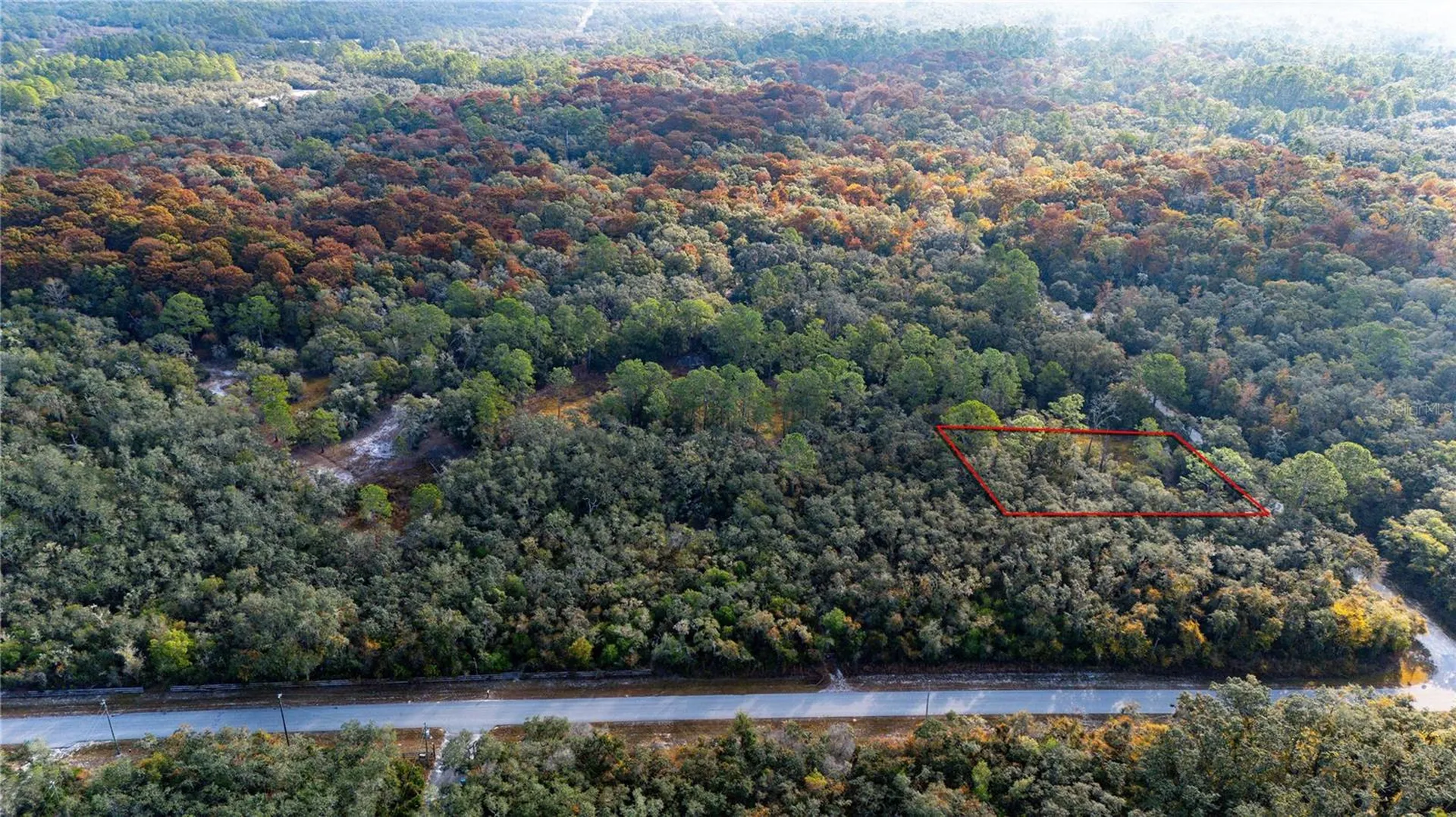0 Rose Bloom Lot 7 Avenue Webster FL 33597