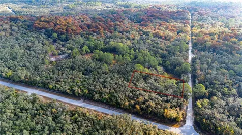 0 Rose Bloom Lot 7 Avenue Webster FL 33597