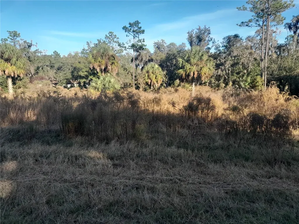 Tbd SE 110th Avenue Inglis FL 34449