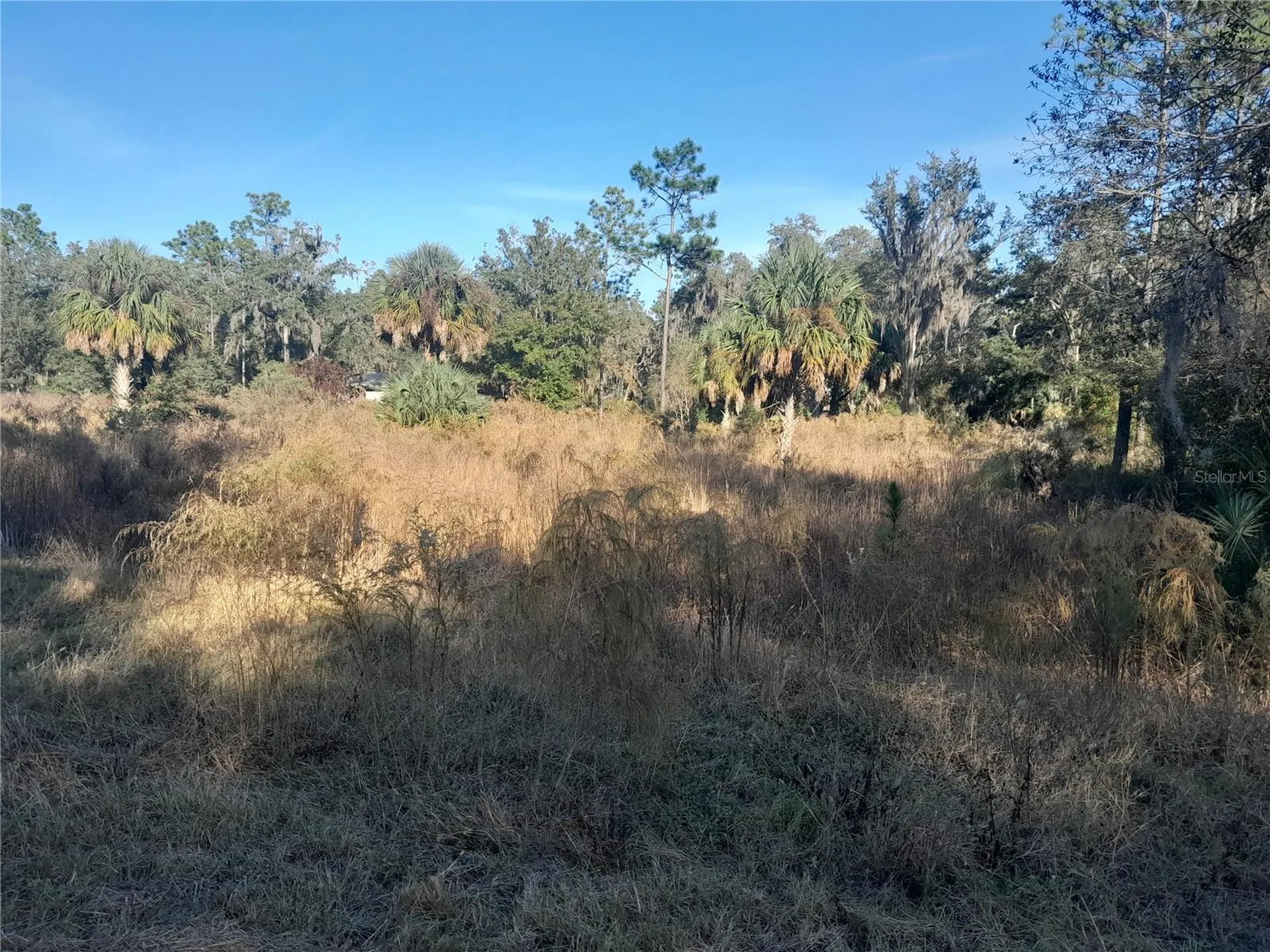 Tbd SE 110th Avenue Inglis FL 34449