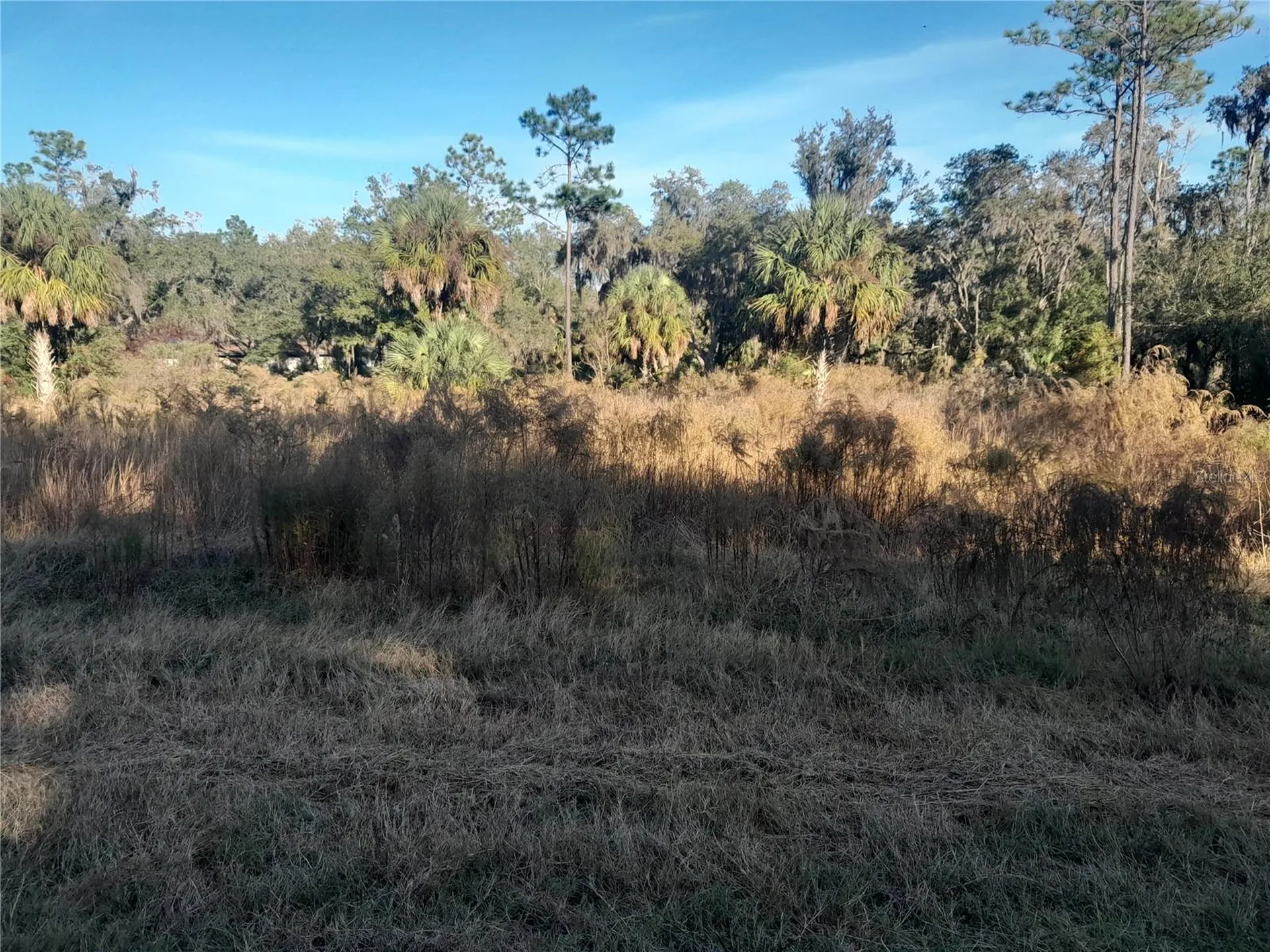 Tbd SE 110th Avenue Inglis FL 34449