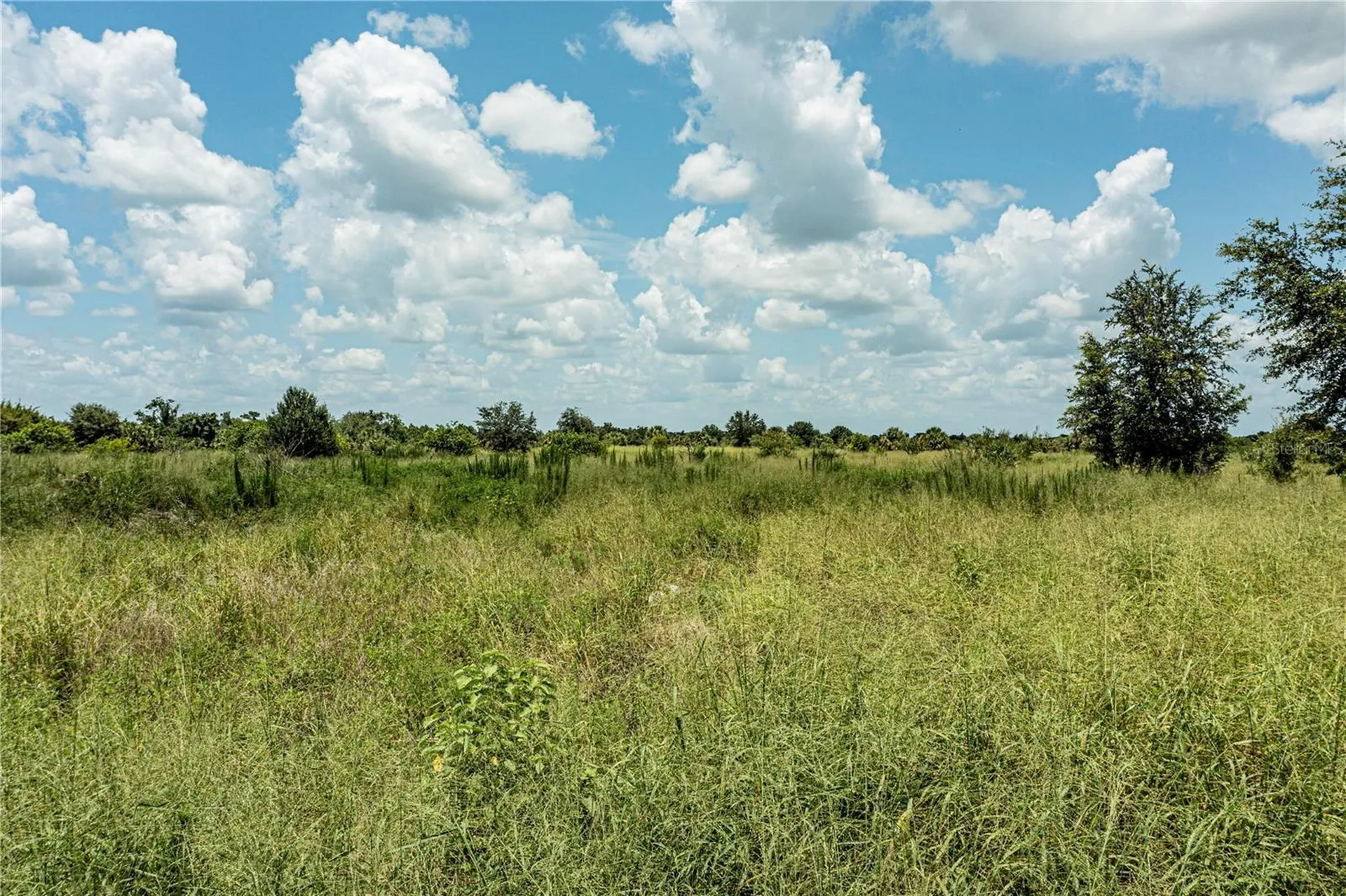SW Hull Avenue Arcadia FL 34269