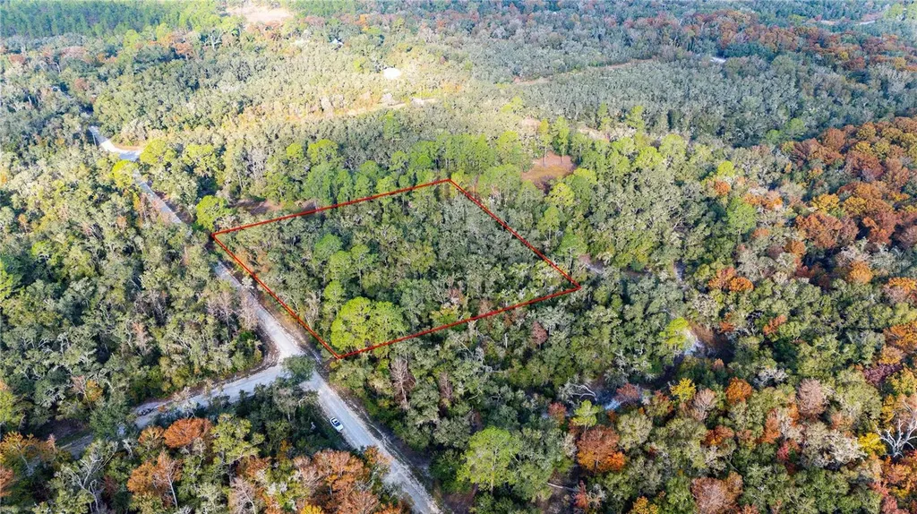 0 Rose Bloom Lot 5 Avenue Webster FL 33597