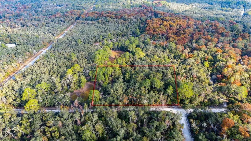 0 Rose Bloom Lot 5 Avenue Webster FL 33597