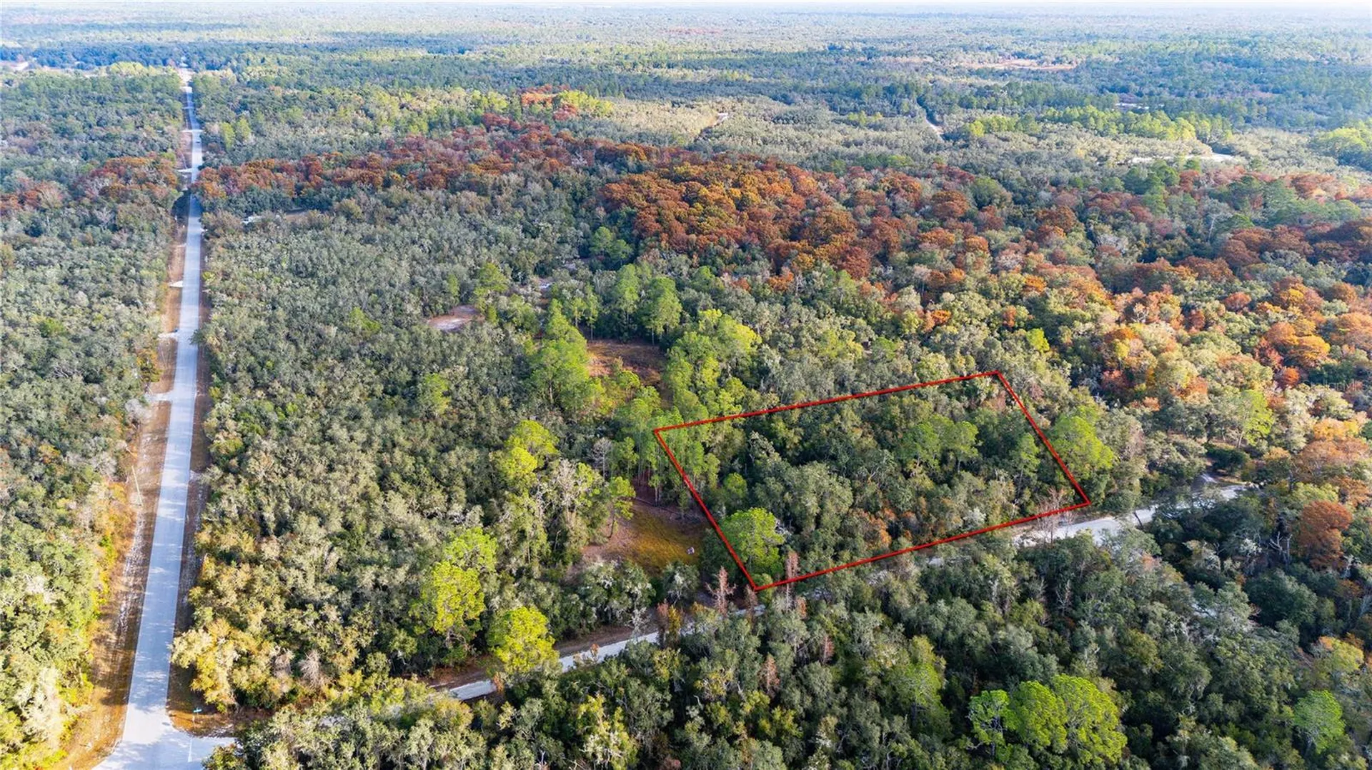 0 Rose Bloom Lot 5 Avenue Webster FL 33597