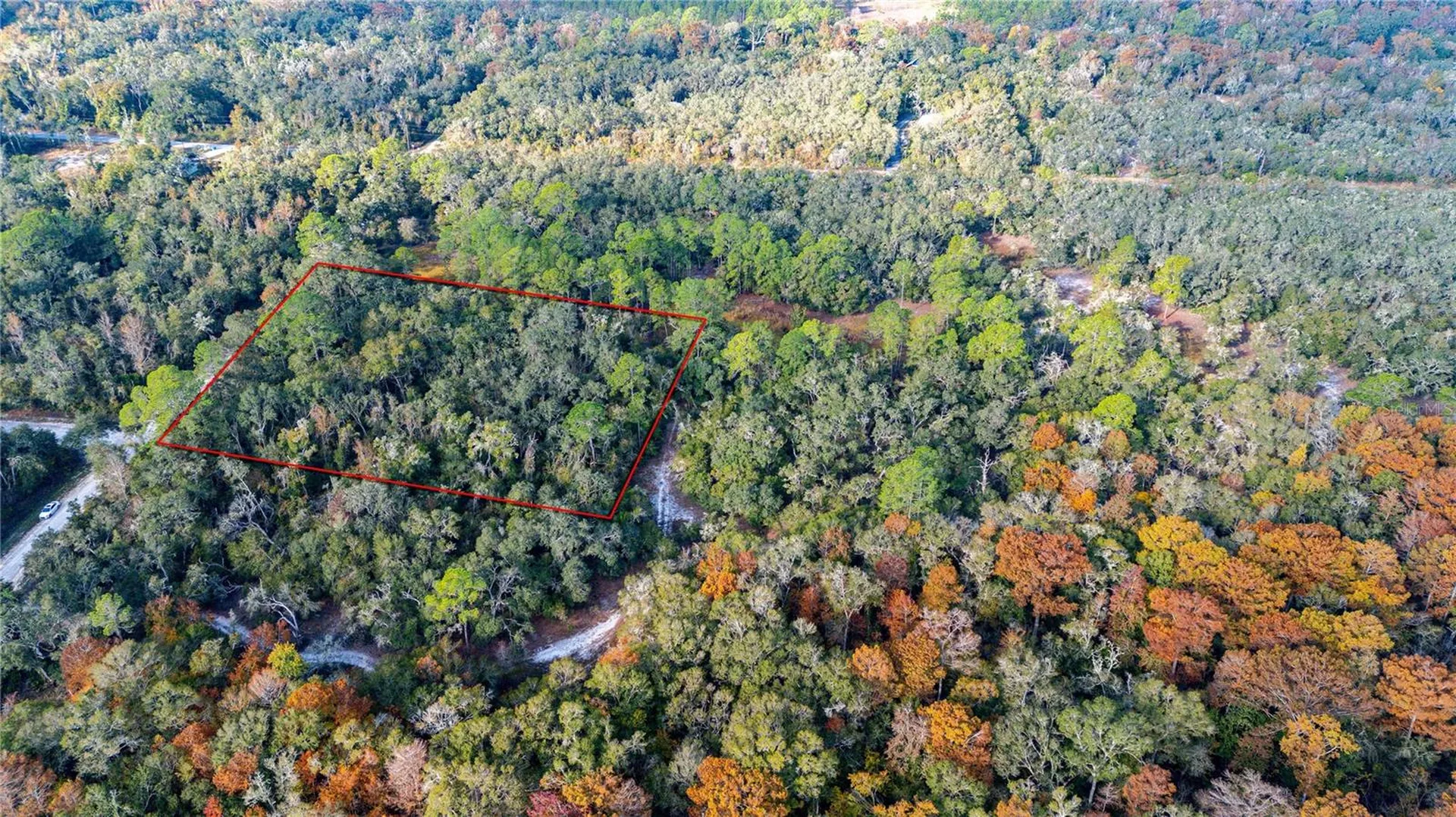 0 Rose Bloom Lot 5 Avenue Webster FL 33597