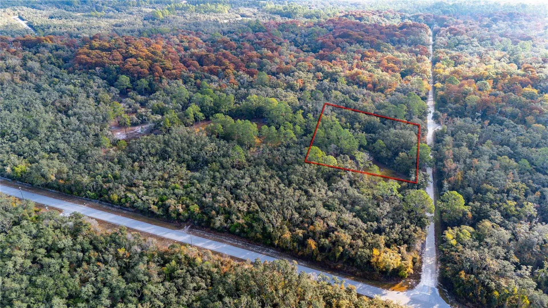 0 Rose Bloom Lot 5 Avenue Webster FL 33597