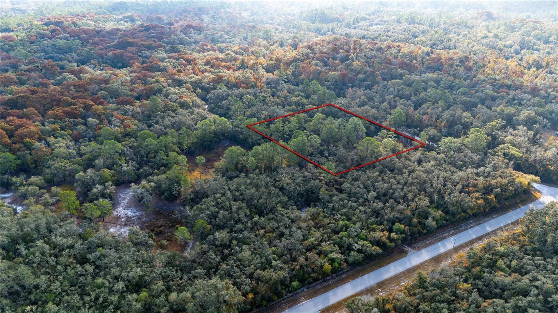 0 Rose Bloom Lot 5 Avenue Webster FL 33597